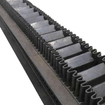 購入 EP100 EP150 EP200 傾き0~90度のコンベアベルトと肥料砂のGB/T7984-2001規格 online manufacture