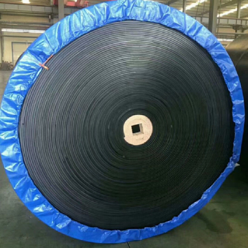 12mm Flame Retardant NN300 Special Conveyor Belts